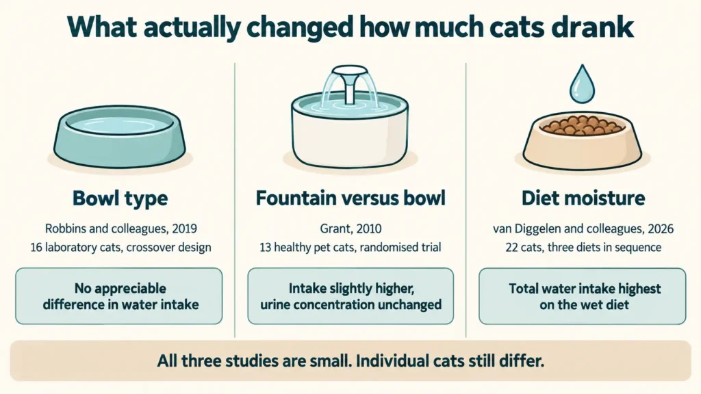 Three-panel comparison of studies on bowl type, fountains and diet moisture in cats