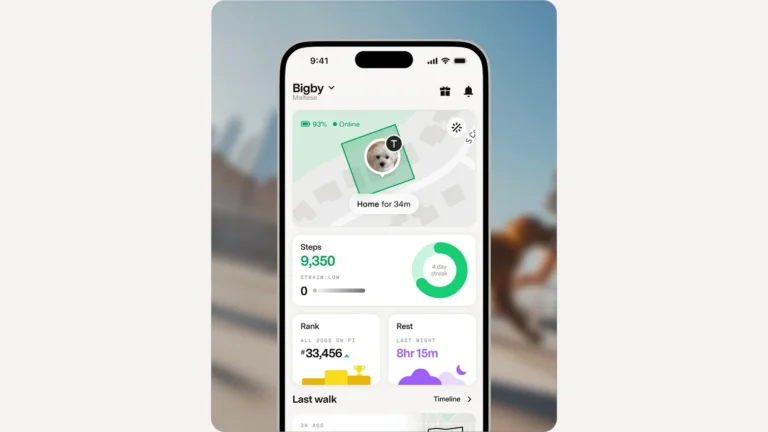 Fi app Live tab on a phone showing a dog's location in its home zone, a daily step count, a community rank and last night's rest
