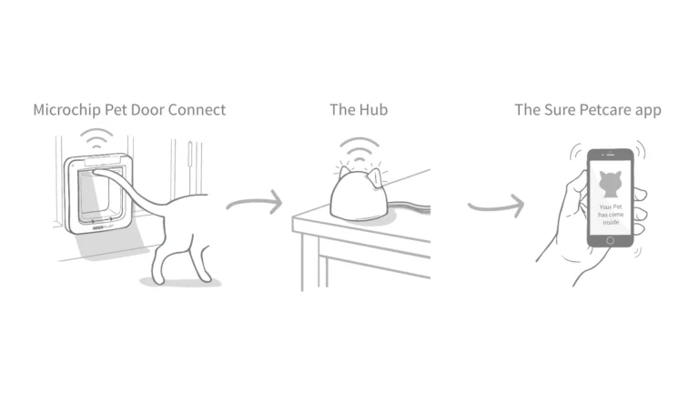 Line drawing of the three parts of the system: a cat passing through the Microchip Pet Door Connect, the Hub on a table, and a phone showing the message Your Pet has come inside