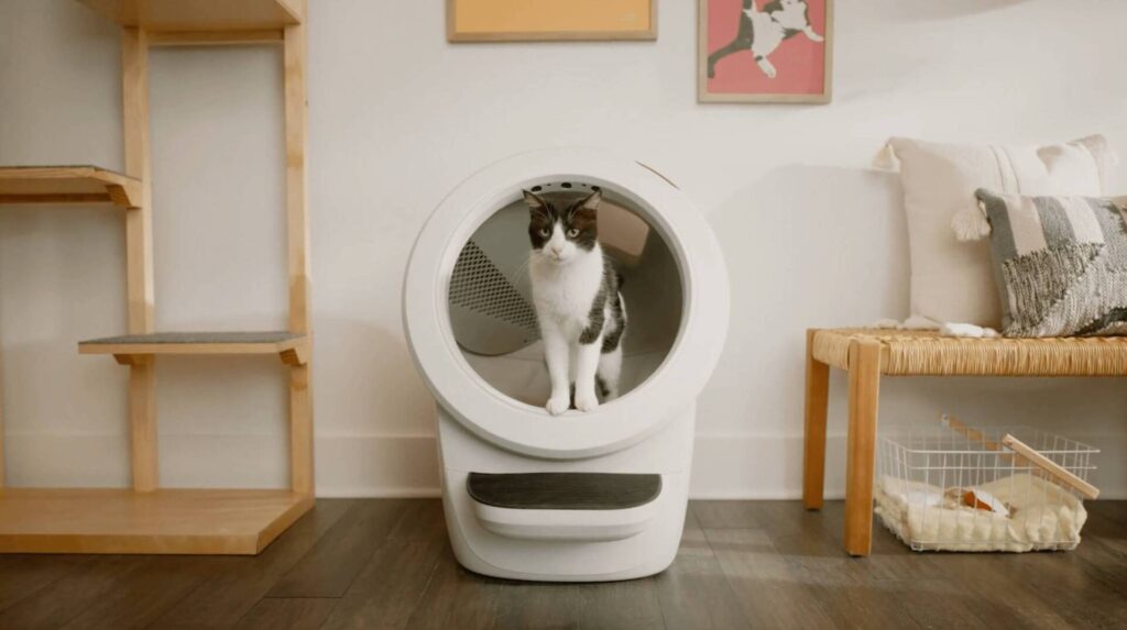 Litter-Robot 4 Review: The Mature Choice Now That the Litter-Robot 5 Has Arrived