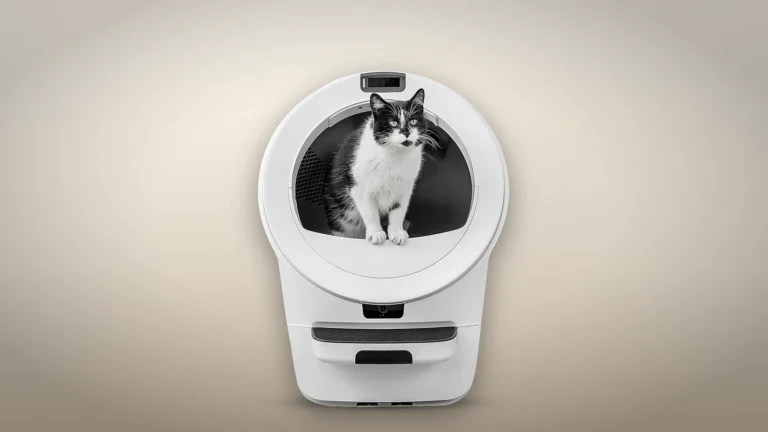 Black and white cat sitting in the entry of a white Litter-Robot 5 Pro, showing the size of the opening against the cat